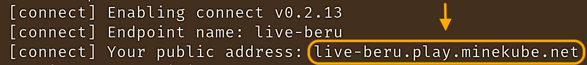 Console showing public domain